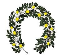 GWOKWAI Guirlande de citrons artificiels de 2,5 m de long avec des citrons artificiels, guirlande de fruits artificiels pour décoration de porte d'entrée, mur de maison