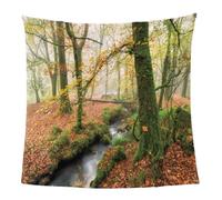 GXBDYD Couverture Polaire en Microfibre Magnifique Paysage De Ruisseau Et De Jungle 3D Imprimée Douce Fluffy Flanelle Couverture De Lit Plaid Canapé Convient Adultes Et Enfants Rester Chaud en Hiver