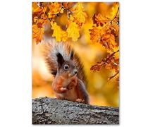 Gxllhh Affiche Decoration Murale Écureuils Poster Mural,Modernes Tableau Decoration Murale,Cadre Decoration Murale,Tableau Peinture Sur Toile Salon Intérieur Decoration 30X40Cm Avec Cadre