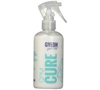 Gyeon Q²M Cure 250 ml