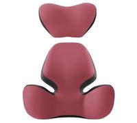 GyfZanthine Coussin Lombaire Voiture pour Mercedes SL 63 AMG 2008-2018,Noyau Coton 52D, Confortable et Respirant, Soutien Zoné, Housse Extérieure Amovible Séparément