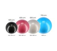 Gym ball Nouveau HMS YB01 55 cm