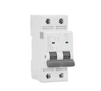 GYM9-125 2P 80A 100A 125A AC courbe C mini disjoncteur DP largeur 35.6mm 400V 6KA(125A)