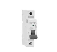 GYM9-125 DC MCB 1P 2P 3P 4P 250V 500V 750V1000VDC Circuit Breaker 80A 100A 125A 6KA DC MCB CZAOINCU(2 Pole 500VDC,100A)