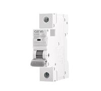 GYM9H 1P 10KA capacité de coupure MCB Din Rail 230V 400V Mini disjoncteur 6A-63A Type AC Direct(25A)