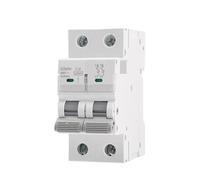 GYM9H 2POLE 10KA High Breaking Capacity MCB Din Rail Mini Circuit Breaker 6A-63A AC Type(50A)
