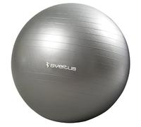 Gymball gris Ø65 cm bte