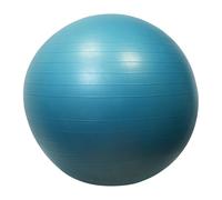 Gymball Sporti 65cm Violet 65 cm Unisex
