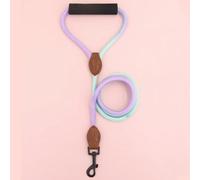 GYMIGE Laisse pour Chien de Compagnie de Couleur dégradée avec poignée rembourrée Confortable adaptée aux Chiens de Petite et Moyenne Taille pour Une Utilisation en extérieur