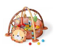 Gymnase 3 en 1 - Leone