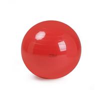 Gymnic Physio 120 Ballon de Gymnastique Rouge