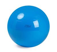 GYMNIC Physio 95 Ball 95 cm Bleu Adulte Unisexe, 95cm