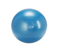 Gymnic Plus Ballon de gymnastique Ø 65 cm Bleu