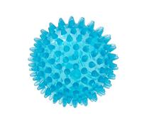 Gymnic Reflexball balle rigide Ø 9 cm en forme de hérisson, bleu, pour massage et réflexologie, idéale pour le relâchement myofascial, la stimulation circulatoire et le bien-être musculaire