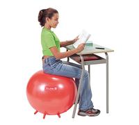 Gymnic Sit'n'Gym 55 Ballon de gymnastique Rouge