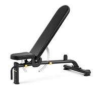 Gymrex Banc De Musculation Inclinable Matériel Multifonction Équipement Réglable GR-AB 250 (135 kg Max., Dossier de 37,5 x 25 cm, Coussins Ergonomiques, Usage Pro Ou Privé, Acier, Similicuir)