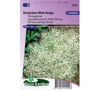 Gypsophile paniculée, Oeillet d'Amour White Design - Graines De Fleurs Vivaces