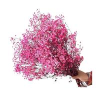 gypsophile séché Fleurs séchées Gypsophila paniculata 40-50cm, Bouquets de Fleurs Souffle bébé, décoration Mariage, Maison(Rose Red,100-120g (45-50cm))