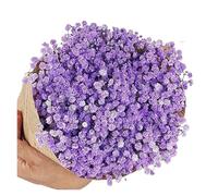 gypsophile séché Fleurs séchées Gypsophila paniculata 40-50cm, Bouquets de Fleurs Souffle bébé, décoration Mariage, Maison(Light Purple,40g (40cm))