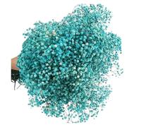 gypsophile séché Fleurs séchées Gypsophila paniculata 40-50cm, Bouquets de Fleurs Souffle bébé, décoration Mariage, Maison(Light Blue,40g (40cm))