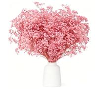 Gypsophile Séché Fleurs Séchées Naturelles 43cm, Plus de 3500+ Fleurs Roses, Branches de Naturel Gypsophila pour Couronne de Bricolage, Maison, Mariage, Table, Décoration de Vase