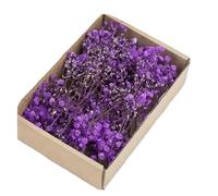 gypsophile séché Mini Bouquet de Fleurs Souffle bébé séchées Blanches, 50 pièces, Petit gypsophile en Vrac, Artisanat, Invitations, Fabrication Bougies, décoration Maison(Purple)