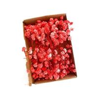 gypsophile séché Mini Fleurs artificielles Roses en Forme de Souffle bébé, 100 pièces, for Bricolage, Artisanat, gypsophile séchée, Remplissage Vase for la Maison, décorations(Red with Box)
