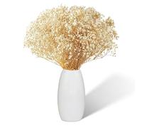 Gypsophile séchée, Plus de 2500 Boutons Floraux séchés, Fleurs Blanches Naturelles séchées, gypsophile pour Bouquets de mariée, décoration d'herbe de la Pampa