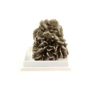 GYPSUM - Pierre Naturelle en Provenance d'Allemagne, Bad Ems - Cristal de Gypse Multicolore, Collection de Daniel Duquenoy 82.22 ct - Certificat d'Authenticité Inclus 30 x 29 x 27 mm Multicolore G