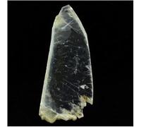 GYPSUM - Pierre Naturelle en Provenance de France, Paris - Roche Sédimentaire, Cristal Blanc, Propriétés de Purification - 4046.0 ct - Certificat d'Authenticité Inclus 330 x 97 x 15 mm Blanc G