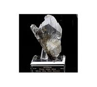 GYPSUM - Pierre Naturelle en Provenance des USA, Pinos Altos Mine - Cristal de Gypse Brut, Purification de l'Environnement, 770.5 ct - Certificat d'Authenticité Inclus 90 x 58 x 35 mm