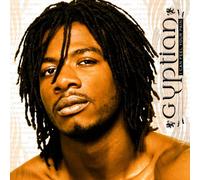 Gyptian - I Can Feel Your Pain [Import]
