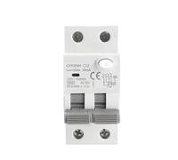 GYR9NM 2P 1P + N 40A 6KA RCBO électromagnétique Type AC disjoncteur à courant résiduel avec Protection contre les surintensités 1 pièces(300mA,2P 40A)