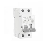 GYR9NM AC Type RCBO 2P 4P Magnetic Circuit Breaker with Over Current and Leakage Protection Din Rail 10A 16A 25A 32A 40A CZAOINCU(2P 32A)