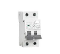 GYR9NM Type A RCBO 2P 4P Disjoncteur à courant résiduel magnétique (Protection contre les surintensités incluse) 10A 16A 25A 32A 40A 30mA(2P 32A 30mA)