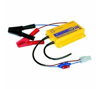 GYS Einbaubares Chargeur de Batterie Avec Ladungserhaltung Onduleur 5 HF 029170