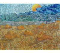 GYTRI CGFHJ Van Gogh affiche et impressions Photo d’art mural rétro《Paysage du soir avec lune montante》Peinture sur toile de paysage pour décor de salon 70x50cm non encadré