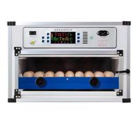 GZGHRZQS Incubateurs Automatique Couveuse Avicole Professionnelle,Incubateur à Oeufs Automatique avec contrôle de la température Incubateur pour couveuse de Poulets