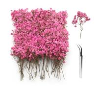 GZGXKJ 120pcs Gypsophiles Roses Fleur Sechees Decoration Naturelles Petites Fleurs Séchées avec Pince pour Epiler pour Bougies, Cadres Photo et Loisirs Créatifs Résine