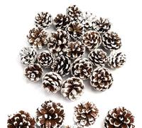 GZGXKJ Lot de 32 Mini Pommes de Pin de Noël Petits Pommes de Pin Naturelles 3-4 cm Convient pour Bricolage Halloween Noël Automne Thanksgiving Décoration