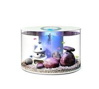 GZHERVICES Aquarium Ovale Moderne pour Bureau avec Éclairage LED 3 Couleurs Et Télécommande, Système De Filtration Silencieux Et Cuve en Acrylique Transparent(Multi-Colored-E)