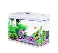GZHERVICES Kit D'aquarium Rectangulaire en Verre Trempé, Un Aquarium De Bureau Idéal pour La Décoration Intérieure, Doté d'un Éclairage LED Réglable À Spectre Complet(31.7x21x35cm)