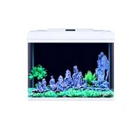 GZHERVICES Kit D'aquarium Tout-en-Un pour Bureau, avec Cuve en Verre Trempé Transparent, Éclairage LED Réglable pour Plantes, Filtre De Circulation Silencieux Et Toutes Les(82x35x58cm)