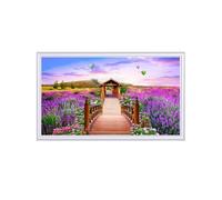 GZHERVICES Panneau Chauffant Mural avec Thermostat, convecteur 500 W, décoration Murale colorée, Peinture Chinoise, idéal pour Les pièces de 4 à 6 m²(F)
