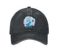 GZMQMOKD Casquette de Baseball pour Hommes Retro Fantastic Four First Steps Sue Storm Casquettes de Baseball Hommes Femmes en détresse Lavé Snapback Chapeau Force Field Outdoor Cadeau Ajustable