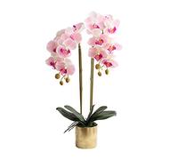 GZSLKSCD Ensemble de Fleurs artificielles Phalaenopsis avec Pot, orchidée Artificielle en Vase, Fausses Fleurs pour la décoration du Salon