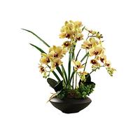 GZSLKSCD Fleurs artificielles décoratives, orchidée Papillon Artificielle, compositions Florales, Fausse Fleur en Latex, orchidée avec Pot en céramique pour la Maison (Vert a B)