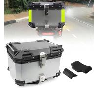 GZYHDC Bagage de Moto, Aluminum Bagage Moto Attributs Top Case Voyage Boîte de Voyage pour Caisse d'Enveloppe 28 L 36 L 45 L 55 L 65 80 L 100 L (Couleur : Argent, Taille : 36L)
