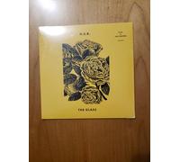 H.E.R. & Foo Fighters - The Glass