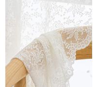 H.ebony Lot de 2 Rideaux Transparents en Dentelle Beige Blanc cassé pour Chambre à Coucher, Salon, Passe-Tringle, Style rétro, filtrer la lumière, aéré, 160 cm de Long